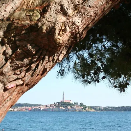 Vanessa Lejlighed Rovinj